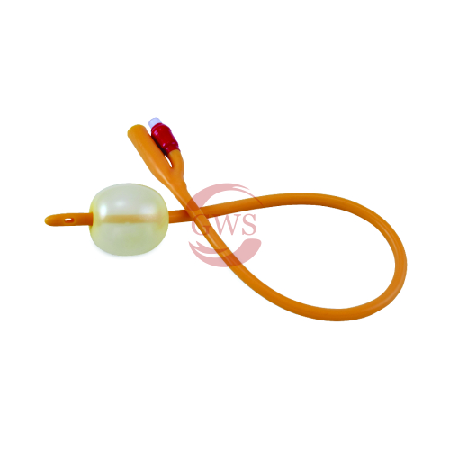 Foley Catheter