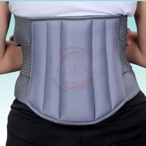 L.S (Lumbar Sacro) Belt, Regular