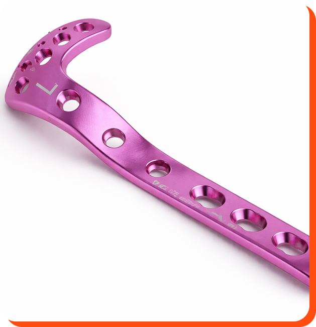 Orthopedic Implant