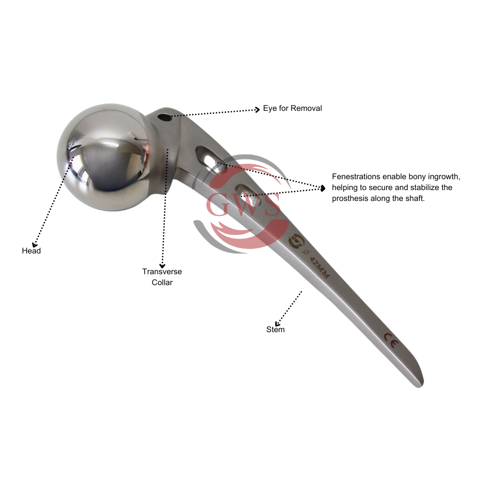 Austin Moore Hip Prosthesis – High-Quality Certified Hip Implant by GWS SURGICALS